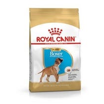 BREED HN BOXER PUPPY 3KG-2