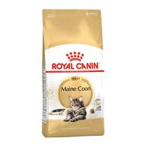 FELINE BN MAINE COON AD 31 2KG-2