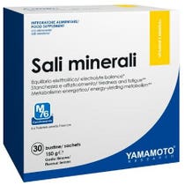 Yamamoto Research Mineral Salts 30 Beutel mit Orangengeschmack-1