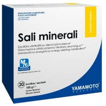 Yamamoto Research Mineralsalze Zitrone 20 Beutel-1