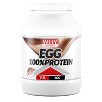 Whysport Ei 100 % Proteinschokolade 750 g-2