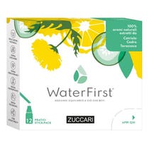 Zuccari WaterFirst Cetriolo/Cedro/Tarassaco 12 Stick-2