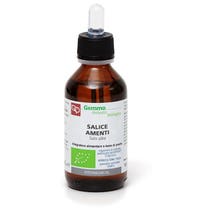 SALICE AMENTI MG BIO 100ML-1