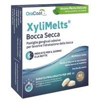 XyliMelts Dry Mouth Zarter Minzgeschmack 40 Lutschtabletten-1