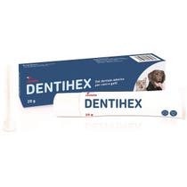Dentihex Zahnhaftgel für Hunde und Katzen, 20 g-1
