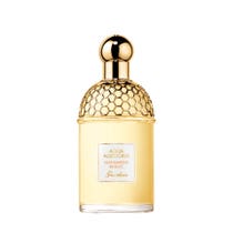 Guerlain Aqua Allegory Mandarine Basilikum Eau de Toilette 125 ml-2