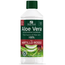 Aloe Vera Succo Mirtillo Rosso 1 litro-3