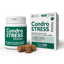 Condrostress Mobility 30 Soft Chews-1