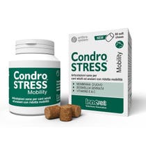 Condrostress Mobility 60 Soft Chews-1