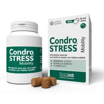 Condrostress Mobility 90 Soft Chews-1
