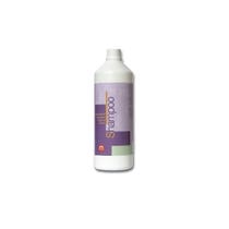 Fm Italia Shampoo Manti Bianchi E Grigi Per Equini 1 Litro-2