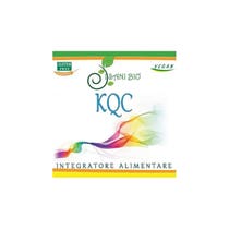KQC 50 CPS-1