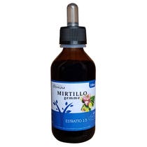 Sygnum Mirtillo Gemme 100ml-2