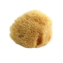 Spugna Naturale Media 1 Pezzo-1