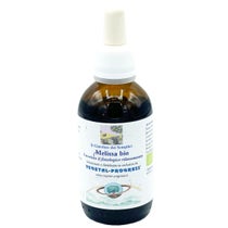 Melissa Hydroalkoholischer Extrakt Tropfen 50ml-1