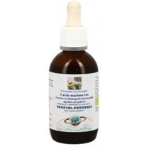 Vegetal Progress Cardo Mariano Estratto Idroalcolico Gocce 100ml-1