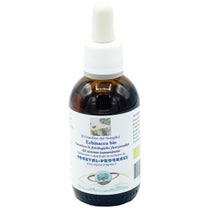 Echinacea Hydroalkoholischer Extrakt Tropfen 50ml-2