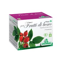 Biologischer Tee Waldbeerengeschmack 20 Filter -4