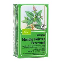Floradix Menta Piperita Infuso BIo 15 filtri-1