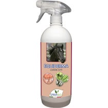 Equiderma Hautregenerierende Lotion 1 Liter-2