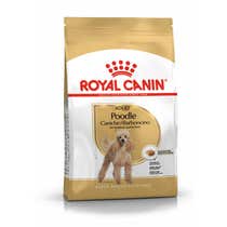 Royal Canin Kroketten für ausgewachsene Pudelhunde Beutel 500g-1