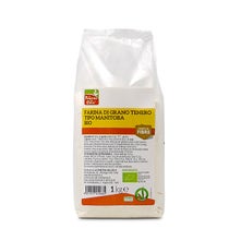 MANITOBA-WEIZENMEHL 1KG BIO-2