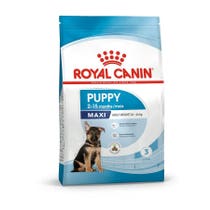 Royal Canin Welpenfutter für Hunde, große Welpen, 10-kg-Beutel-2