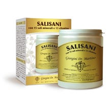 Dr. Giorgini Salisani Vitaminsport 360 g Pulver-2