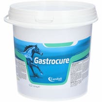 Candioli Gastrocure Ergänzungsfuttermittel für Pferde 2,6Kg-2