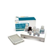 LEISCAN ELISA 32TEST-2