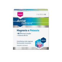 Dr. Theiss Active Nutrient Magnesium/Kalium 20 Beutel-3