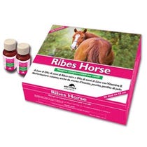 Nbf Lanes Ribes Horse Ergänzungsfuttermittel für Pferde 30 Fläschchen à 25 ml-2