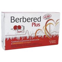 Berbered Plus 20 Tabletten 22,6 g-1