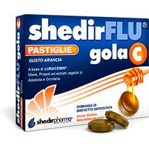 Shedirflu Gola C 48 Pastiglie-1