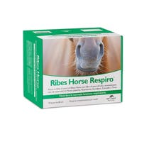 NBF Lanes Ribes Horse Respiro Ergänzungsfuttermittel für Pferde 10 Beutel-2