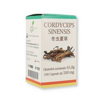 CORDYCEPS 100CPS-1