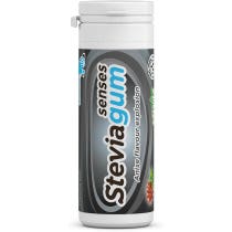 Lemon Pharma SteviaGum Black Senses Kaugummi mit Anis 30g-2