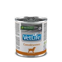Farmina Vet Life Rekonvaleszenz Hunde Nassfutter 300g Dose-1