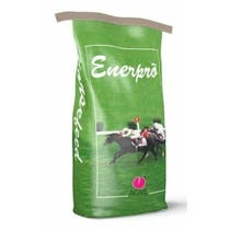 ENERPRO' 20KG-2