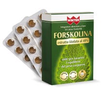 Winter-Forskolin 30 Tabletten-2