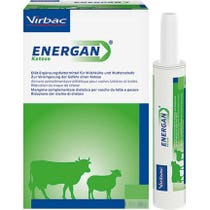 Energan Ketose Diätetisches Ketosefutter für Milchkühe/Schafe 1 Spritzentube-4