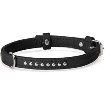 Camon Collare Con Borchiette Nero 15x450mm-3