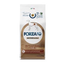 Forza10 Active Intestinal Colon Phase 2 Trockenfutter für ausgewachsene Hunde, 10-kg-Beutel-1