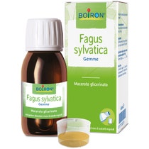 Boiron Fagus Sylvatica Macerato Glicerinato 60ml-2