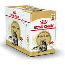 Royal Canin Wet Adult Cat Maine Coon Multipack Mousse 12 Beutel à 85gr-2