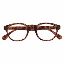 EVEREST TURTLE BRILLE +2,0-1