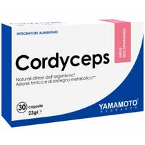 Yamamoto Research Cordyceps 30 Kapseln-1
