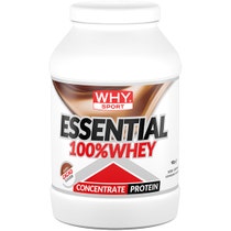 Whysport Essential 100% Whey Cacao 900g-2