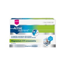 Dr. Theiss Active Nutrient Magnesium 375 14 Orolösliche Sticks-2