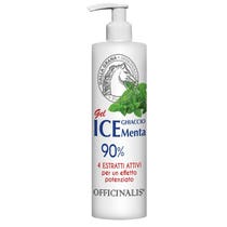 Officinalis Eisgel 90 % Eisminze und Arnika Montana 250 ml-2